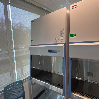 Thermo 1300 Series A2 4' BioSafety Cabinet image 0